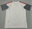 Camisa Internacional Treino 26/27 Masculina