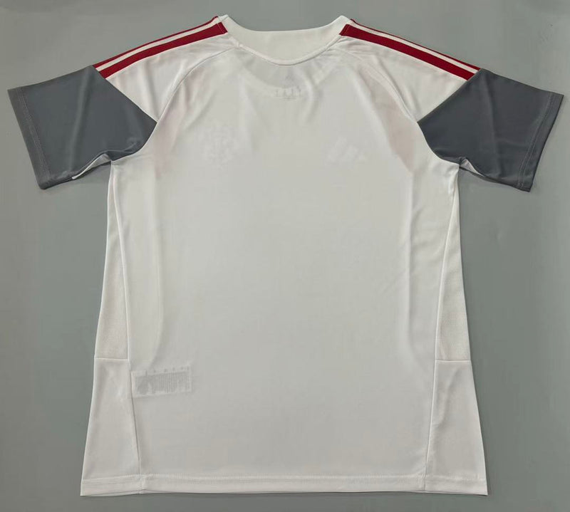 Camisa Internacional Treino 26/27 Masculina